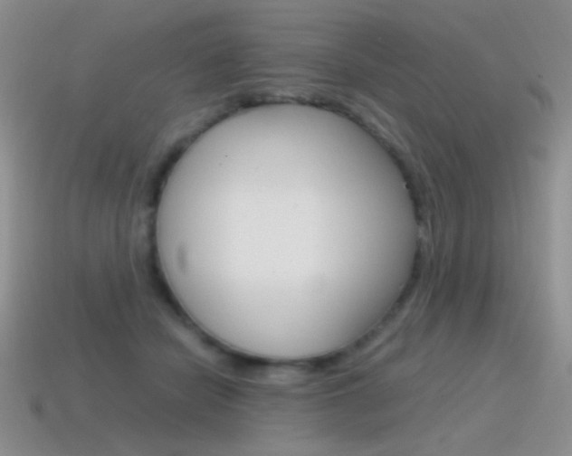 X0000115560462200911061151