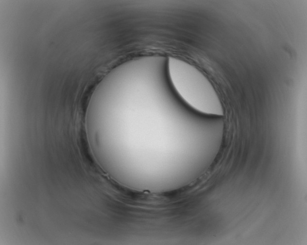 X0000115560463200911061151