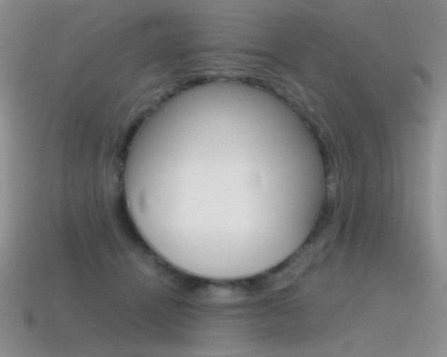 X0000115560464200911061151