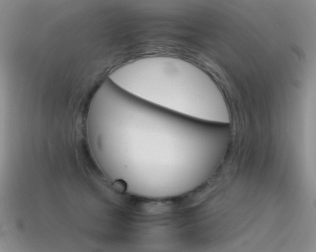 X0000115560465200911061151