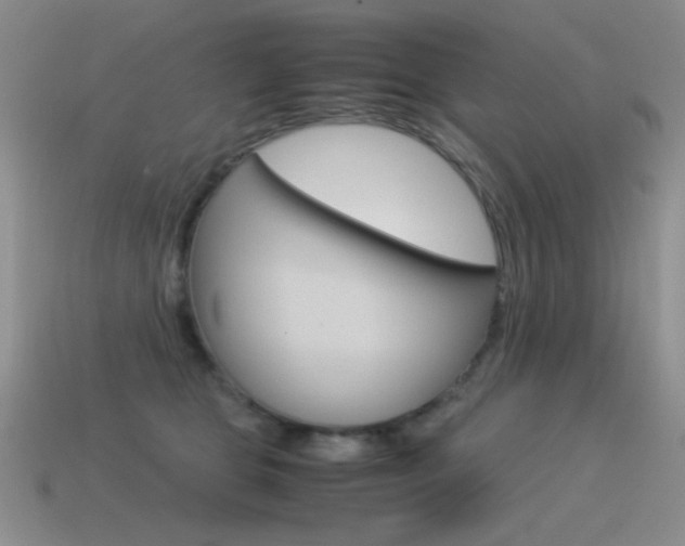 X0000115560469200911061151