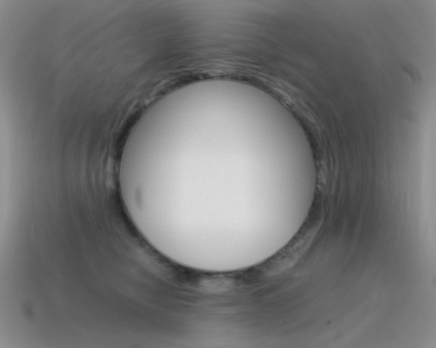 X0000115560470200911061151