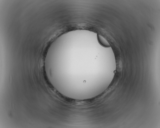 X0000115560472200911061151