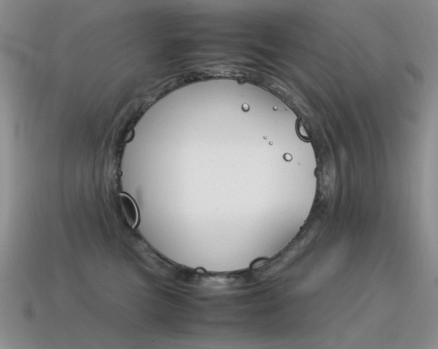X0000115560473200911061151