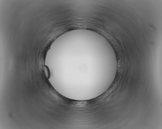 X0000115560474200911061151