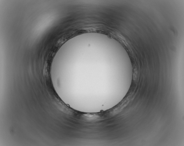 X0000115560477200911061151