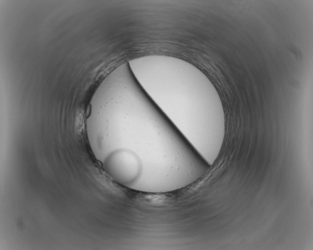 X0000115560478200911061151