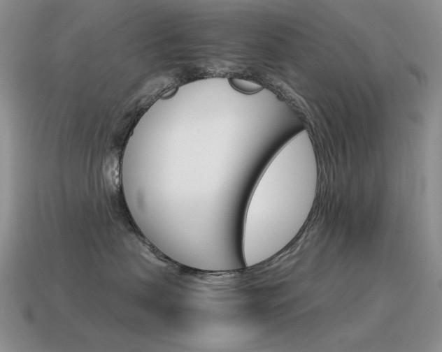 X0000115560479200911061151