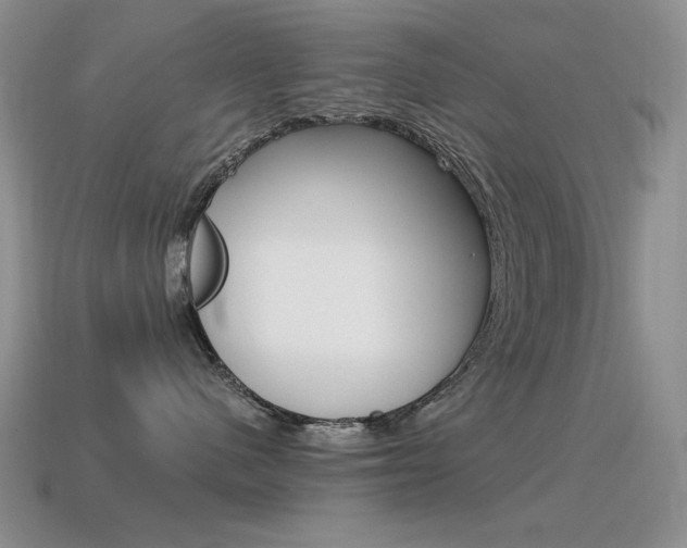 X0000115560480200911061151