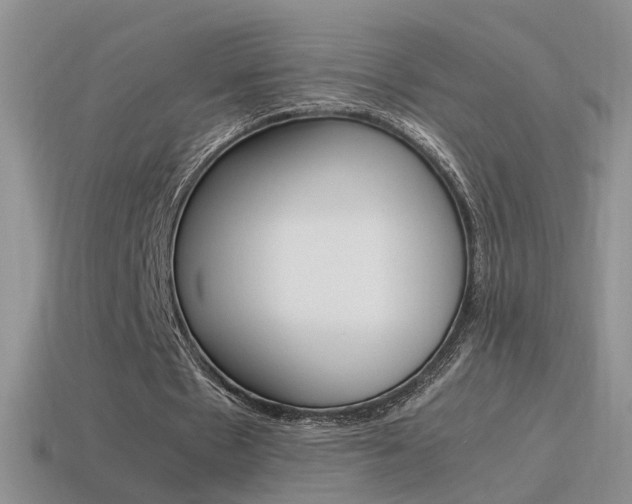 X0000115560481200911061151