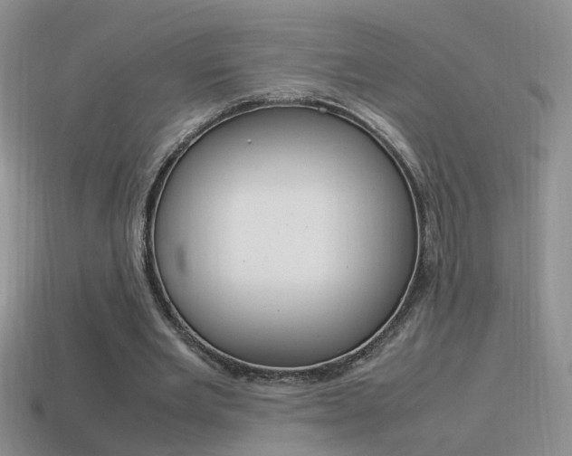 X0000115560485200911061151