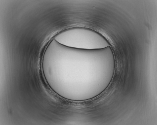 X0000115560486200911061151