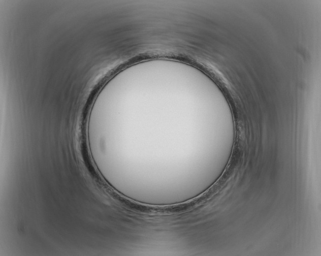 X0000115560487200911061151