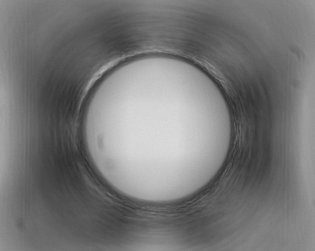 X0000115560488200911061151
