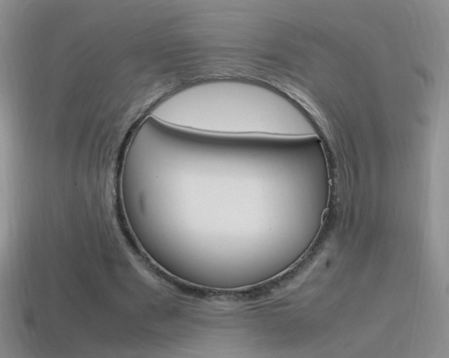 X0000115560489200911061151
