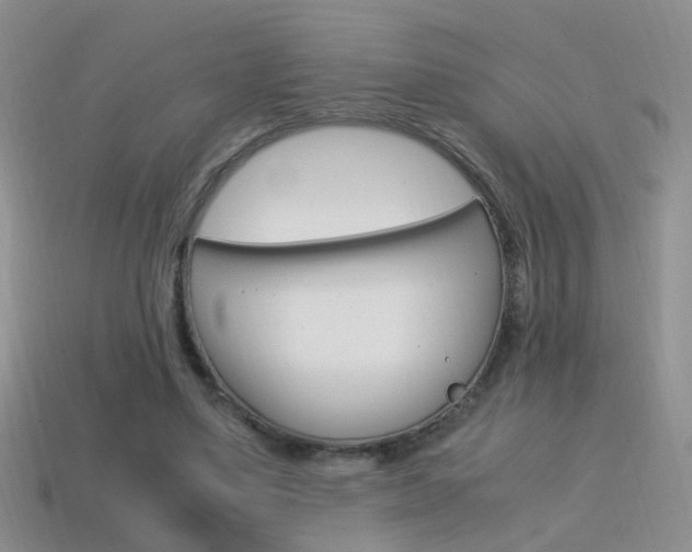X0000115560491200911061151