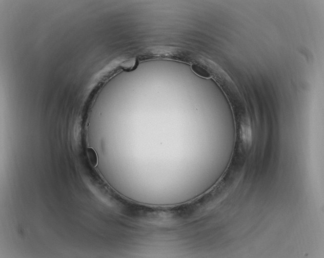 X0000115560492200911061151