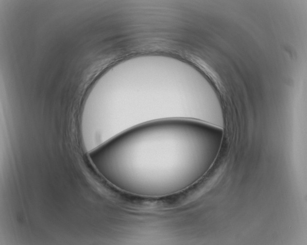 X0000115560493200911061151