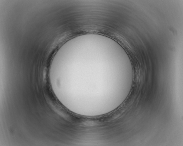 X0000115560494200911061151