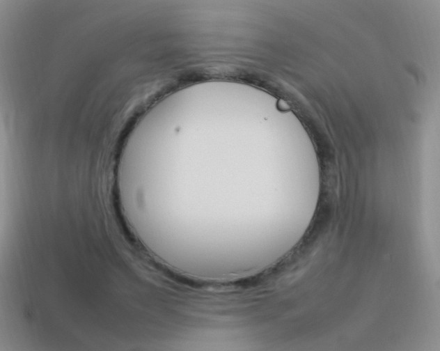 X0000115560495200911061151