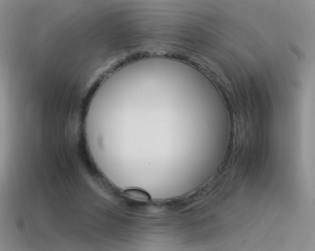 X0000115560496200911061151