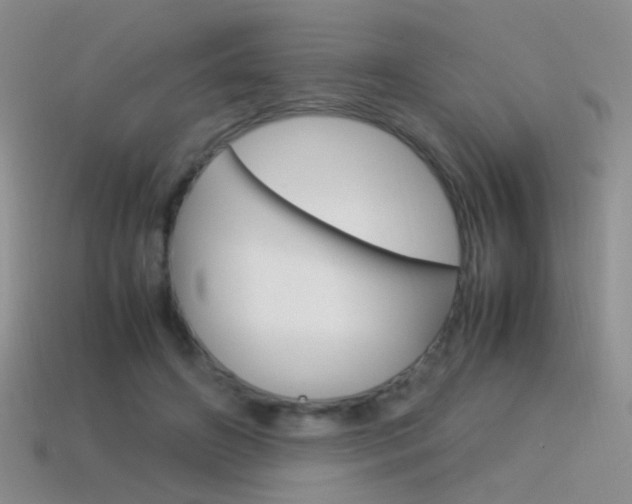 X0000115560498200911061151