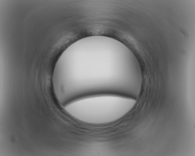 X0000115560499200911061151