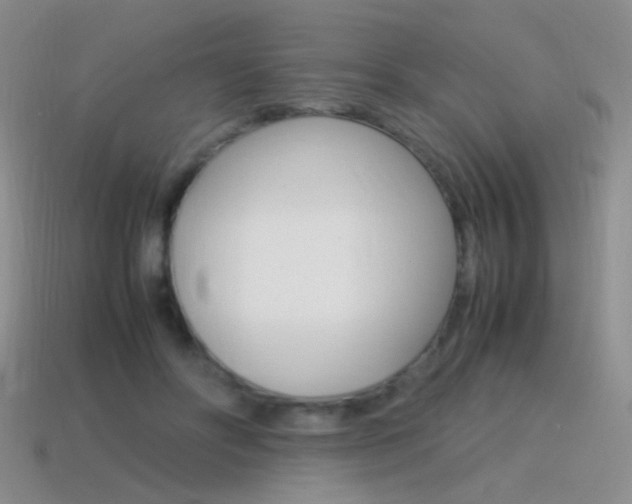 X0000115560502200911061151