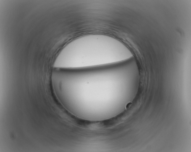 X0000115560505200911061151