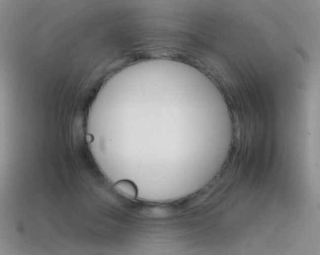 X0000115560506200911061151