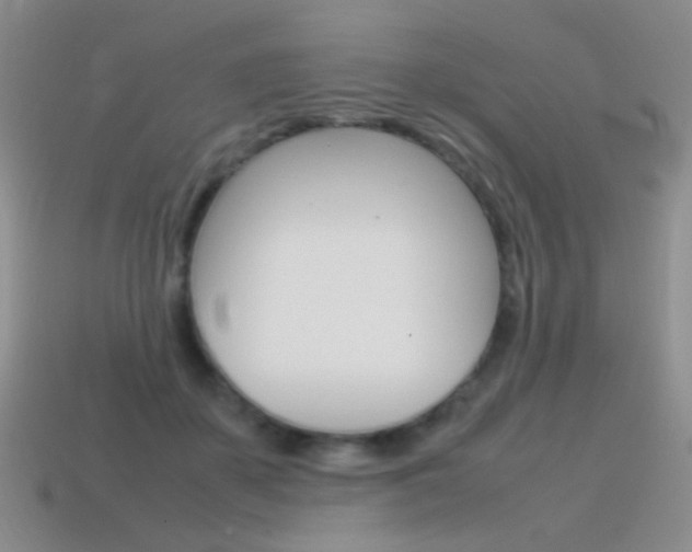 X0000115560507200911061150
