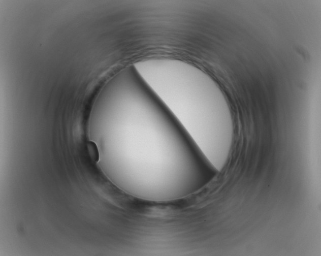 X0000115560508200911061150