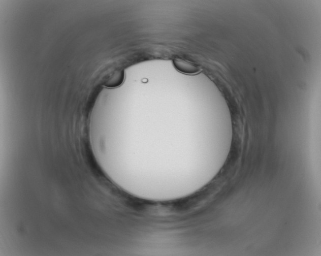 X0000115560511200911061150