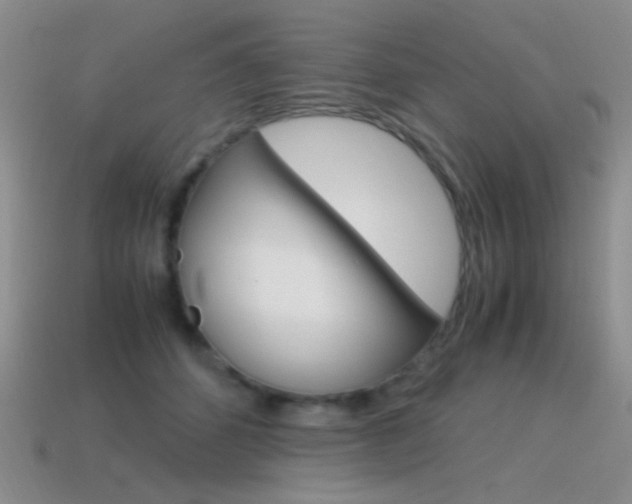 X0000115560512200911061150
