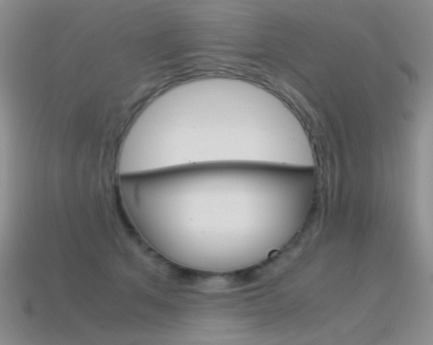 X0000115560513200911061150