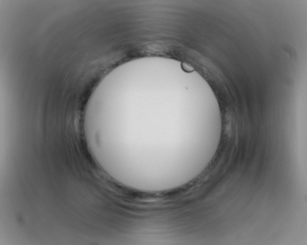X0000115560514200911061150