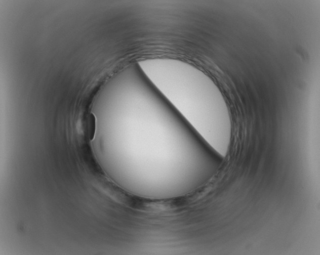 X0000115560516200911061150