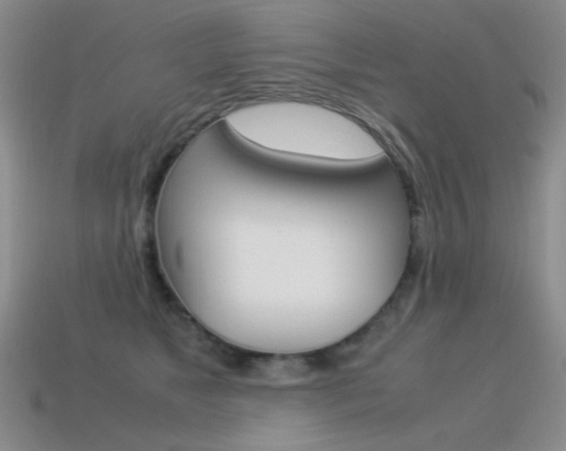 X0000115560517200911061150