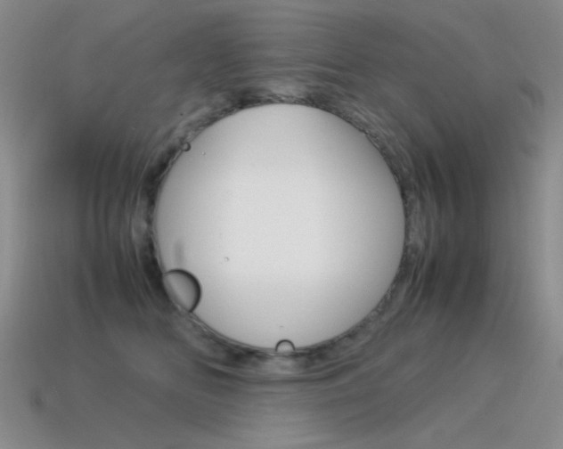 X0000115560518200911061150