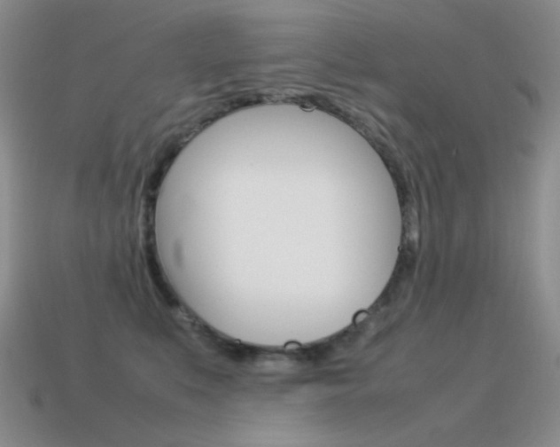 X0000115560519200911061150