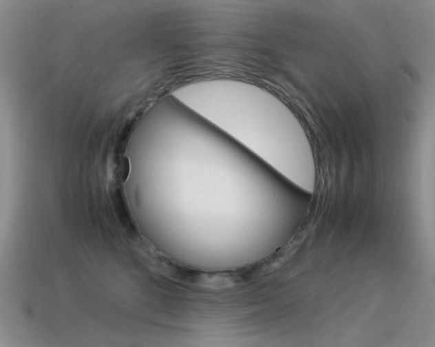 X0000115560520200911061150