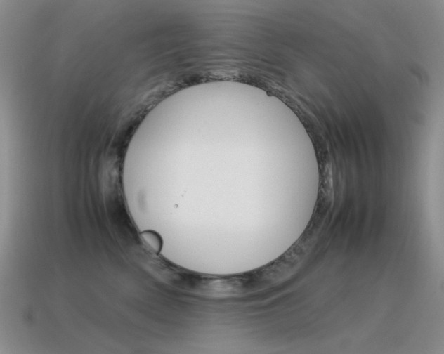 X0000115560522200911061150
