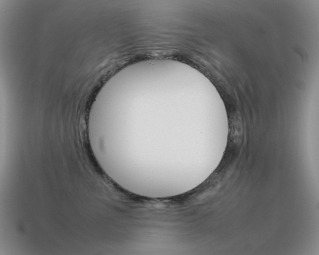 X0000115560523200911061150