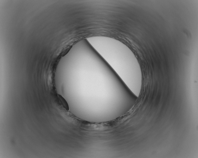 X0000115560524200911061150