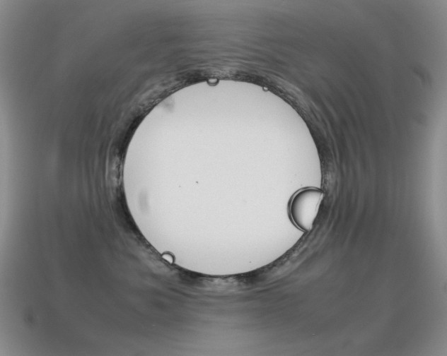 X0000115560525200911061150