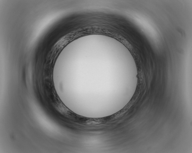 X0000115560526200911061150
