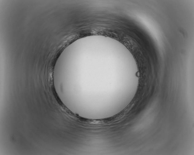 X0000115560527200911061150