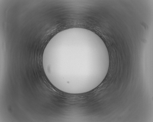 X0000115560528200911061150