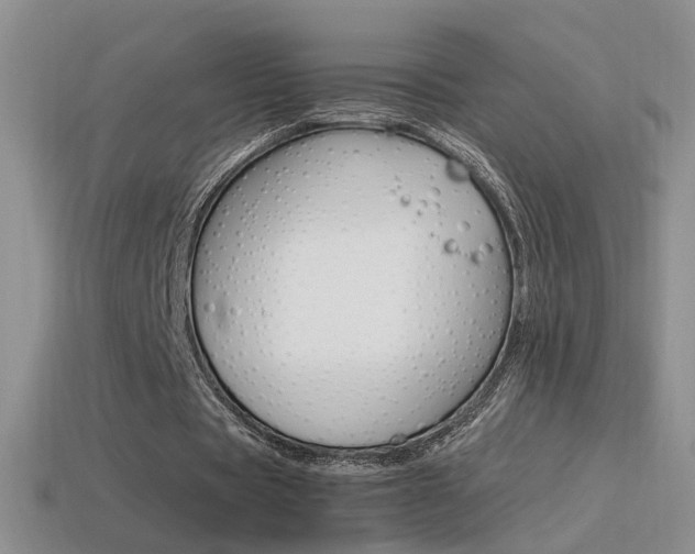 X0000115560529200911061149