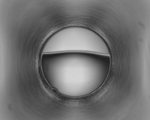 X0000115560530200911061149